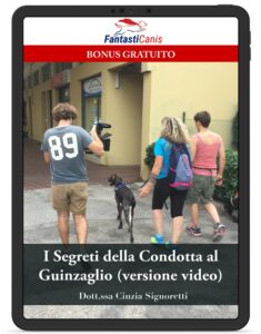 I Segreti Della Condotta Al Guinzaglio - Fantasticane - Il Nuovo Metodo ...