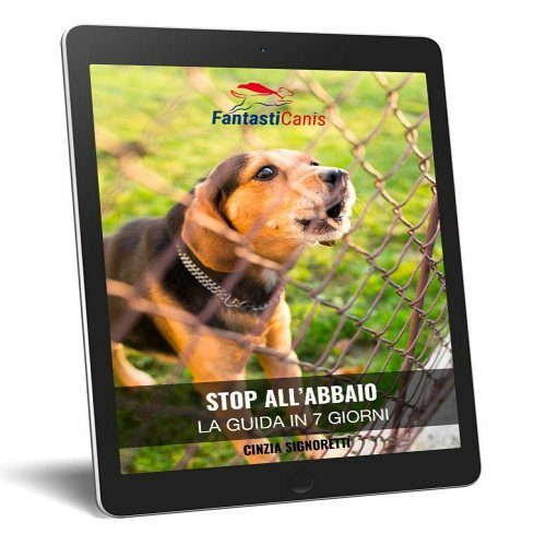 corso abbaio imm prodott