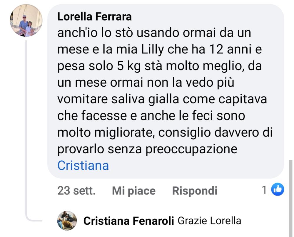 Lorella Ferrara cane vomito