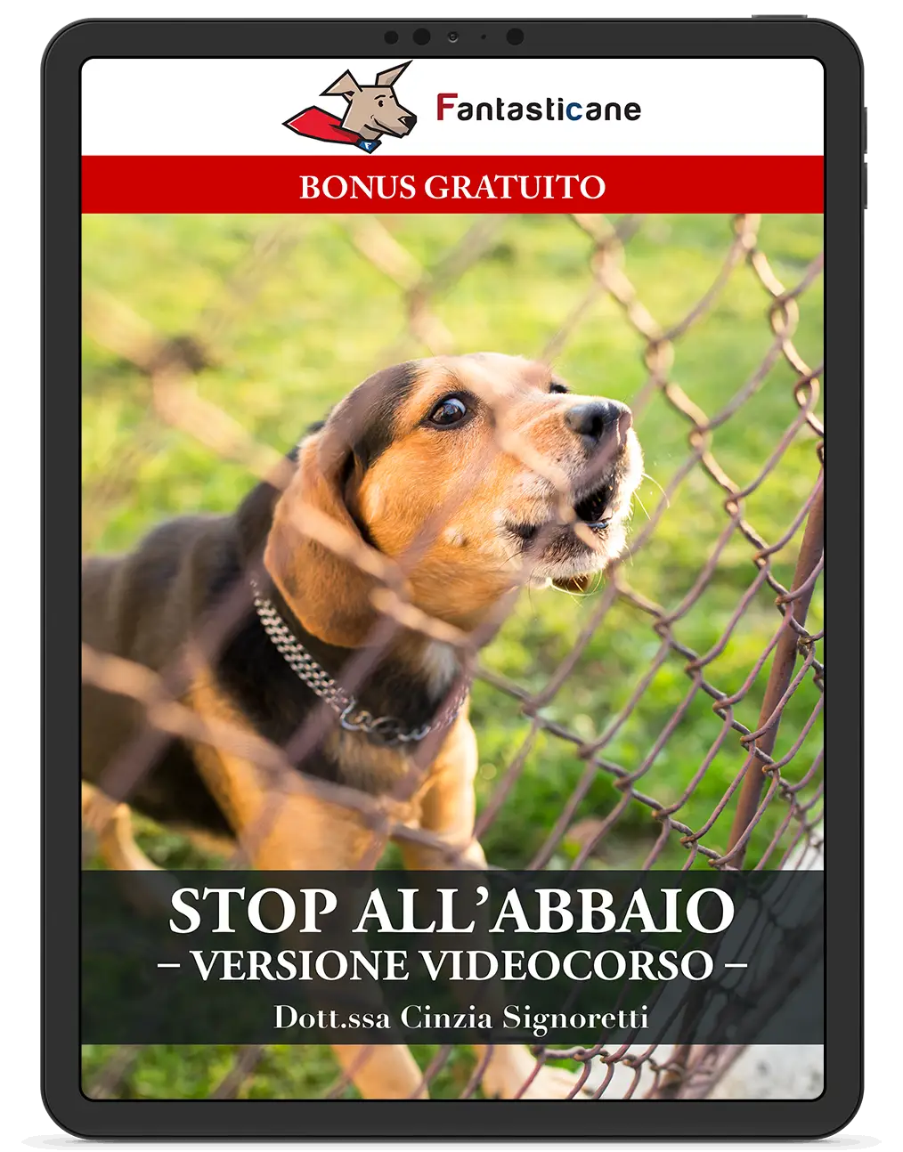 Stop Abbaio video