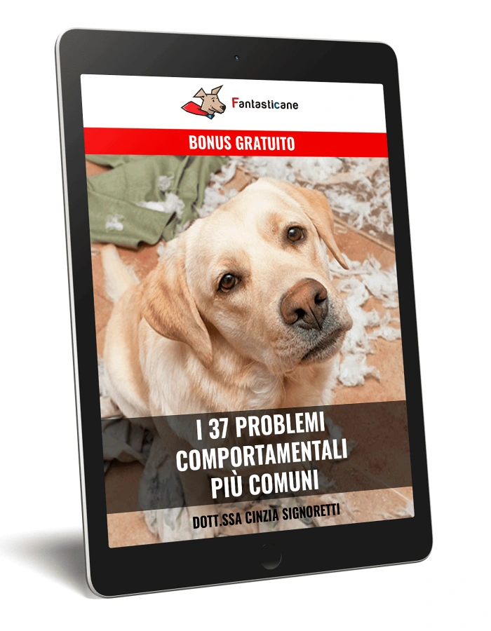 rid 37 problemi comportamentali 0