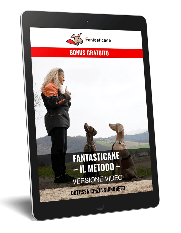 rid Fantasticane Video