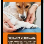 vigilanza veterinaria - ebook