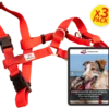 3 Pack "Passeggiate Senza Stress" + Pettorina anti-tiro WonderWalk