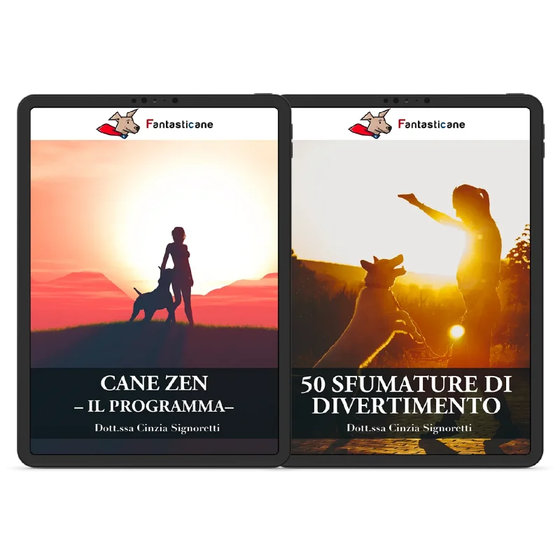 ecom FantaRelax copia