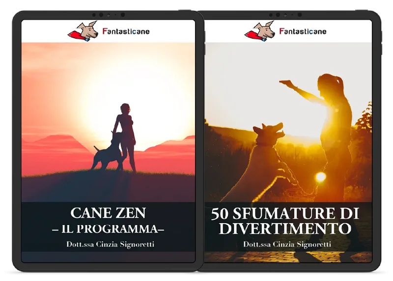 ecom FantaRelax