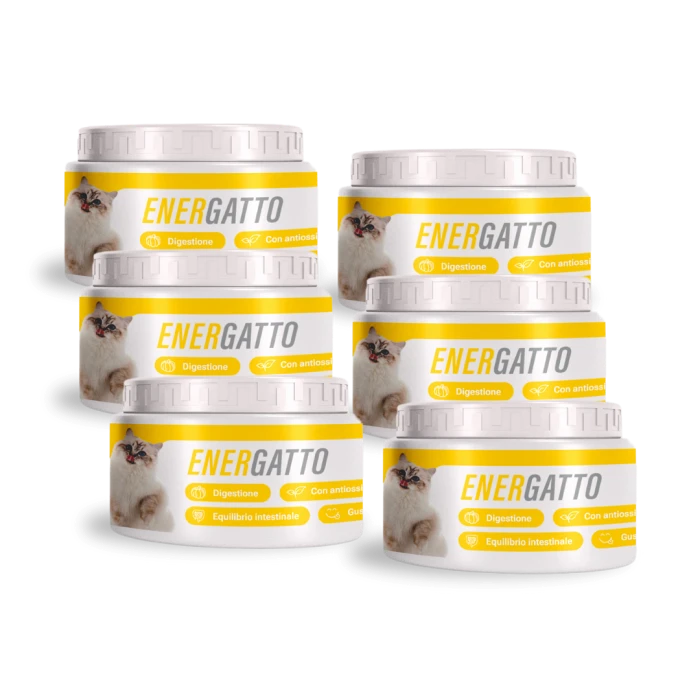 Energatto 6 Packs Trasp