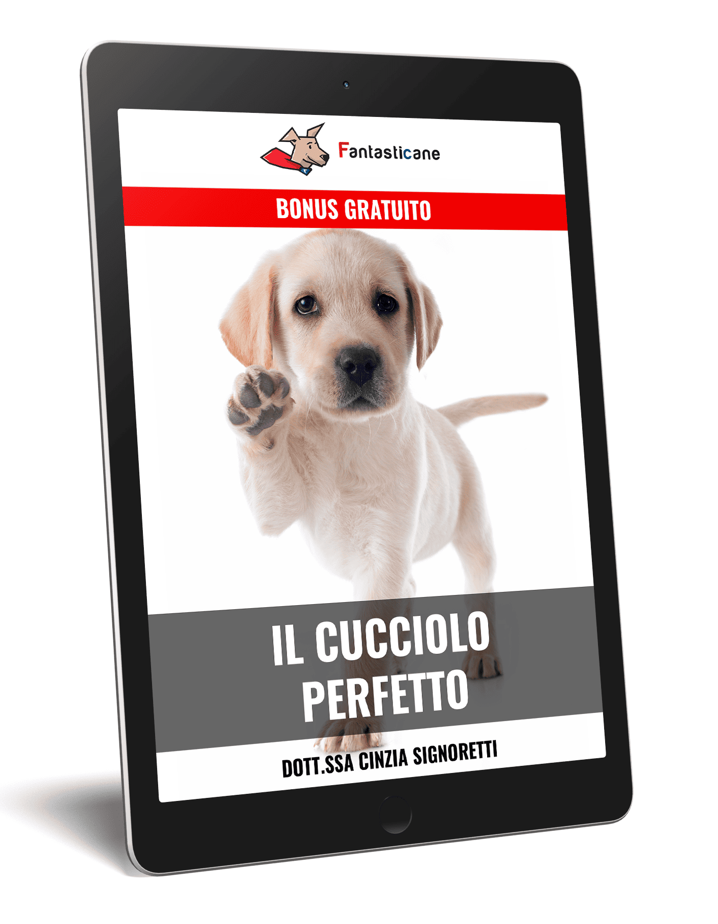 cucciolo perfetto