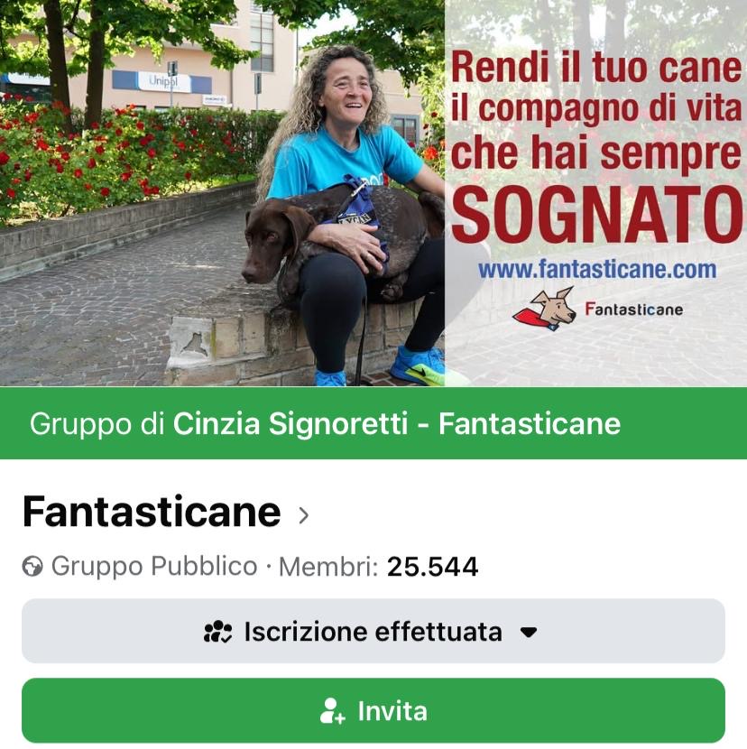 gruppo pubblico min