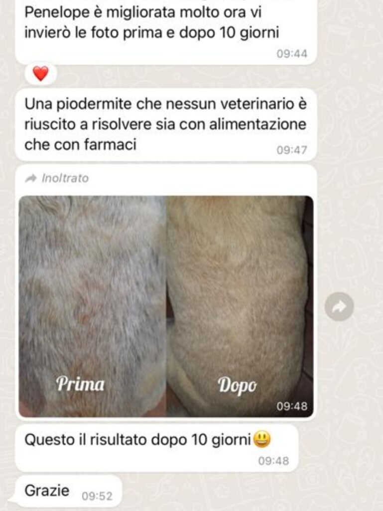 Immagine WhatsApp 2024 10 10 ore 11.01.42 9e709aac