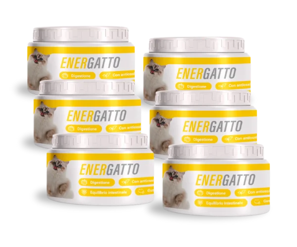 Energato c 6.webp