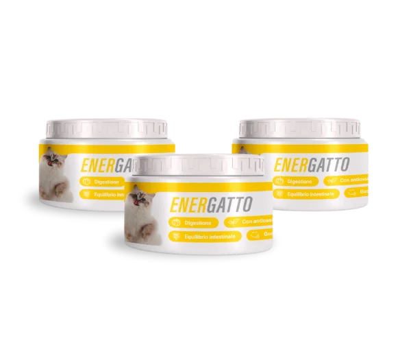 Energatto c 3.webp