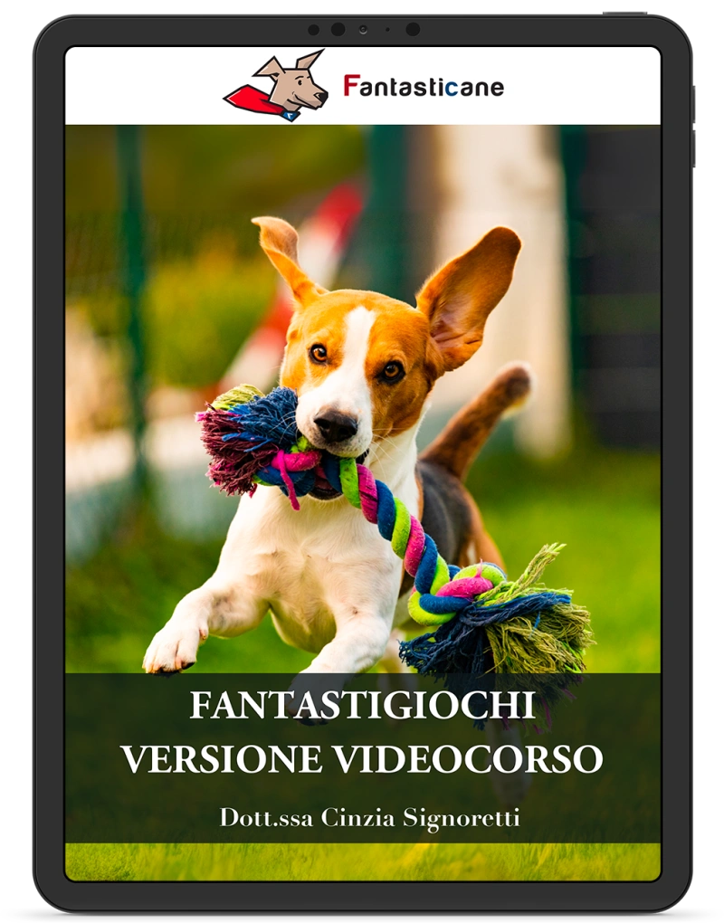 fantastigiochi fantastigiochi VERSIONE VIDEO