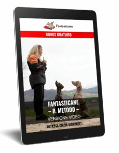 Fantasticane Video