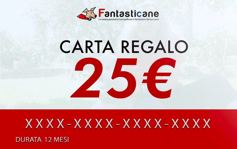 carta regalo fc25
