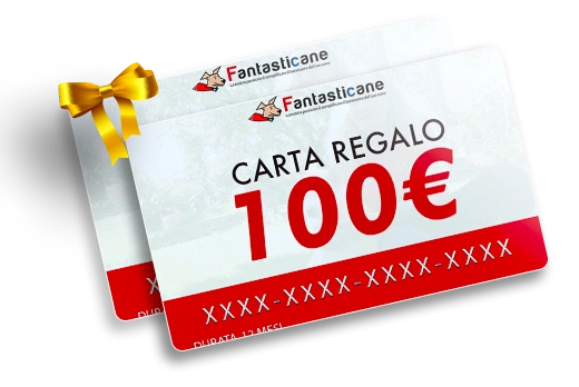 carte100