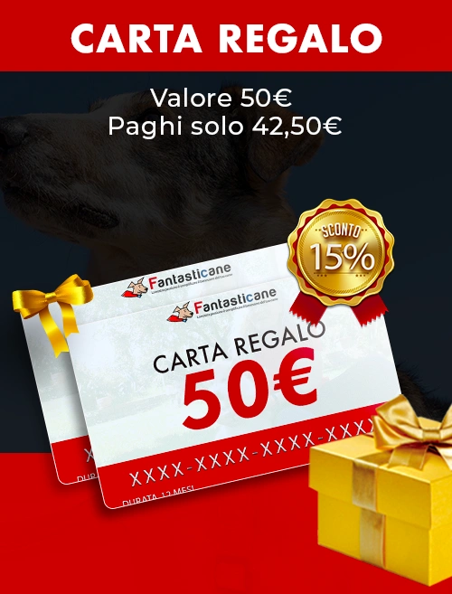 rid carta 50 copia 2