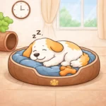 1766062459932 Icon 3 cc.webp