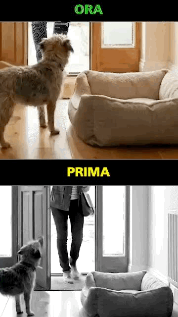 1767784065631 WhatsApp GIF 2026 01 02 at 19.59.08.gif