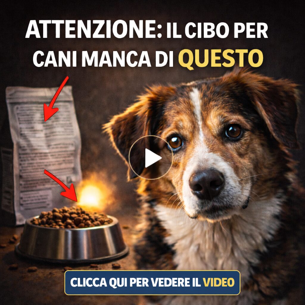 ChatGPT Image 19 feb 2026, 16 17 59