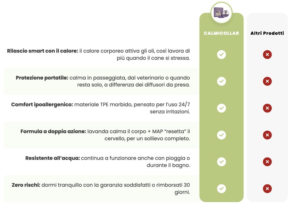 CleanShot 2026 02 12 at 16.32.53@2x