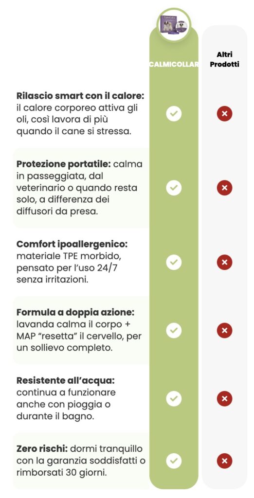 CleanShot 2026 02 12 at 16.33.26@2x